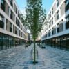 newcastle office rental listings
